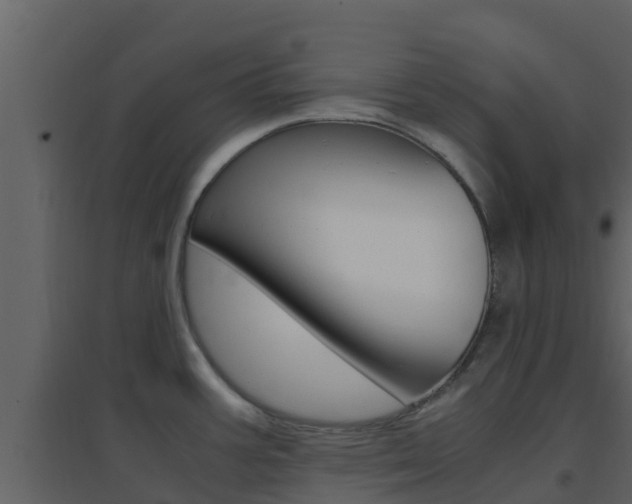 X0000096701387200802051051