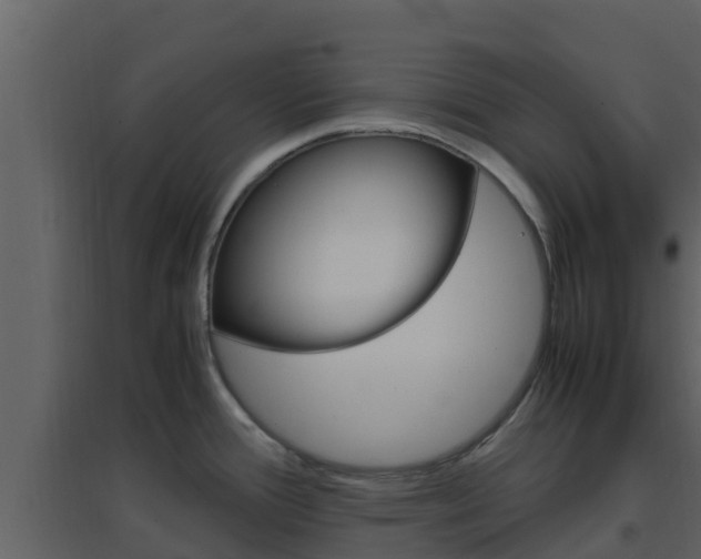 X0000096701388200802051051