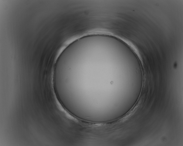 X0000096701390200802051051