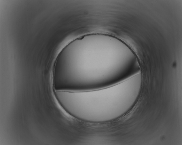 X0000096701391200802051051