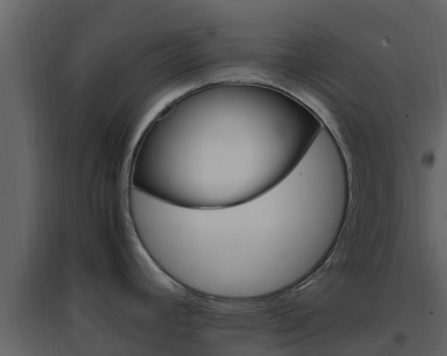 X0000096701392200802051051