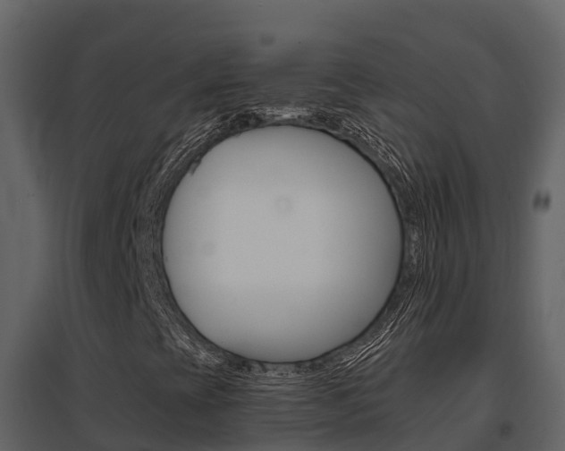 X0000096701393200802051050