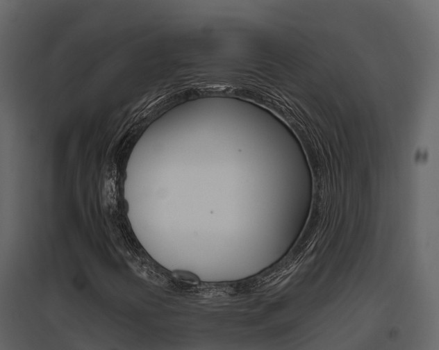 X0000096701394200802051050