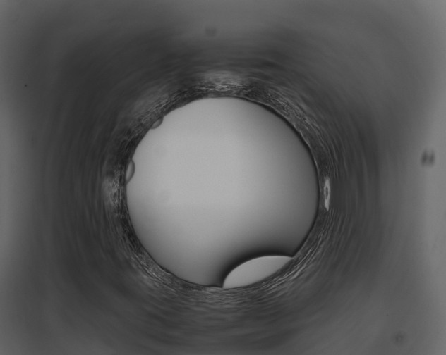X0000096701395200802051050