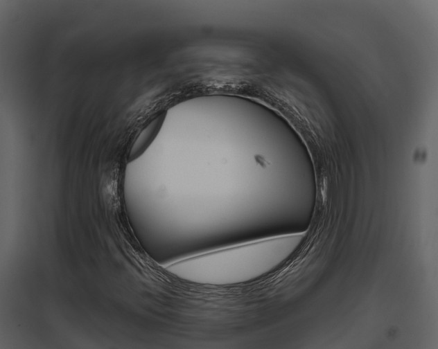 X0000096701396200802051050