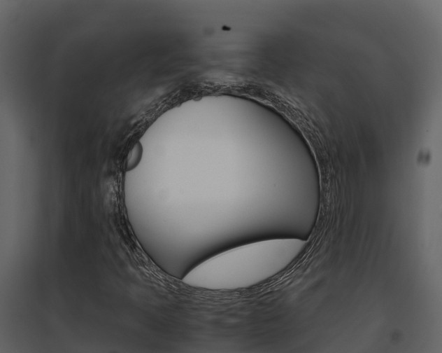 X0000096701397200802051050