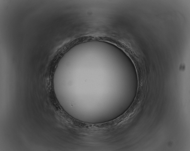 X0000096701398200802051050