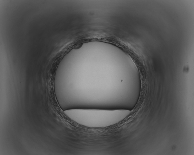 X0000096701399200802051050