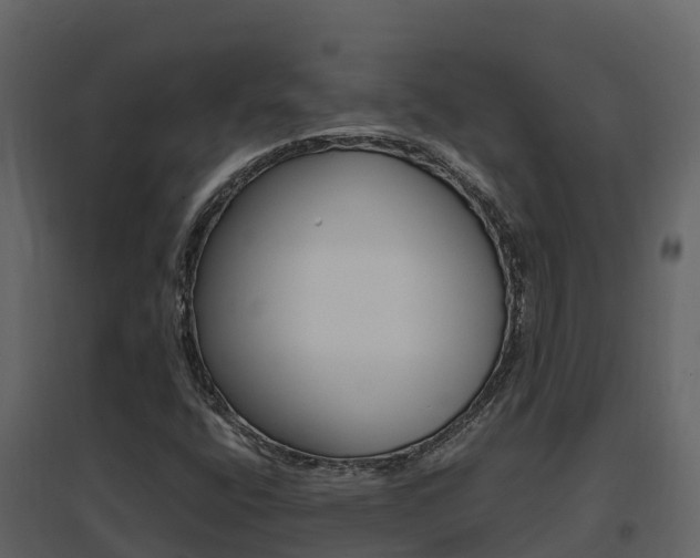 X0000096701400200802051050