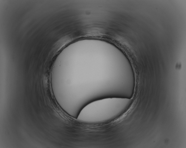 X0000096701401200802051050