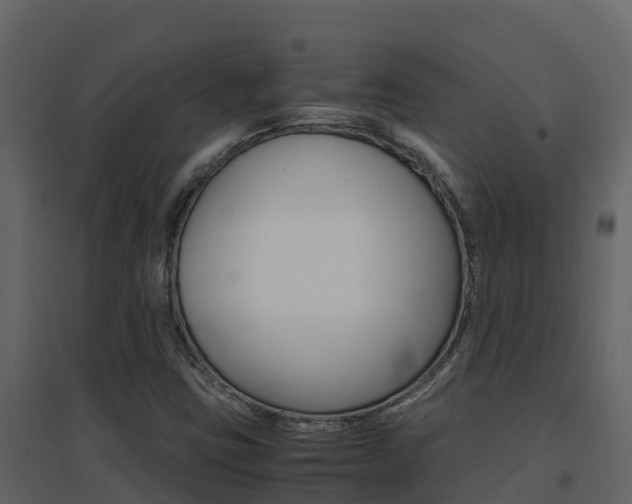 X0000096701403200802051050