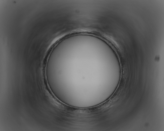 X0000096701404200802051050