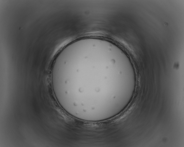 X0000096701405200802051050