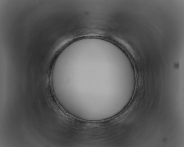 X0000096701407200802051050