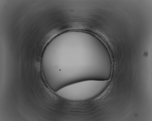 X0000096701409200802051050