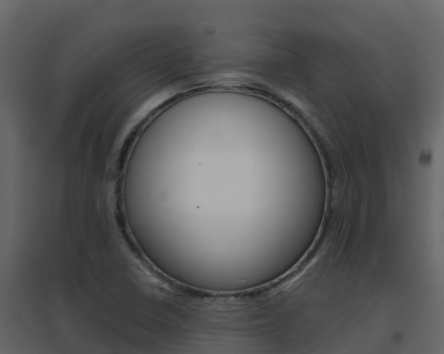 X0000096701410200802051050