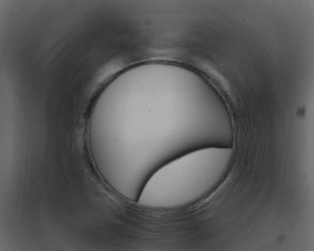 X0000096701411200802051050