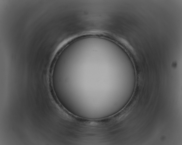 X0000096701412200802051050