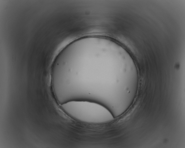 X0000096701413200802051050