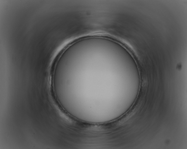 X0000096701414200802051050