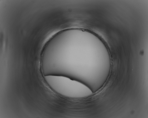 X0000096701415200802051050