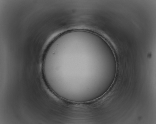 X0000096701416200802051050