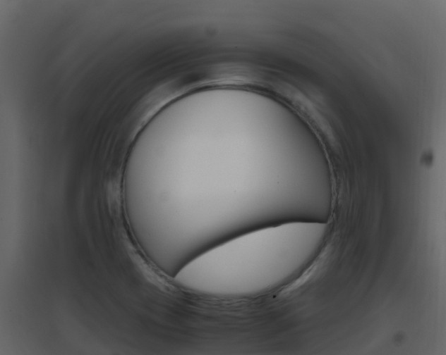X0000096701417200802051050