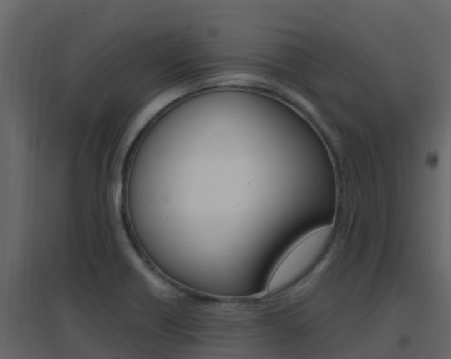 X0000096701418200802051050
