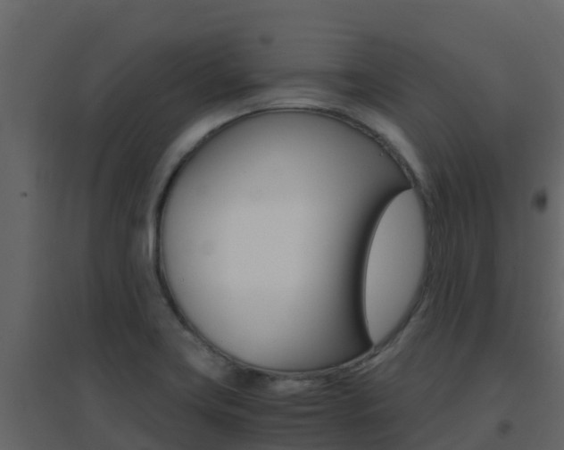 X0000096701419200802051050