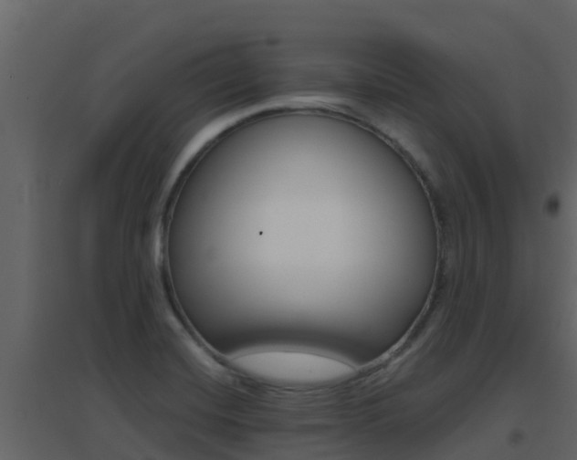 X0000096701420200802051050