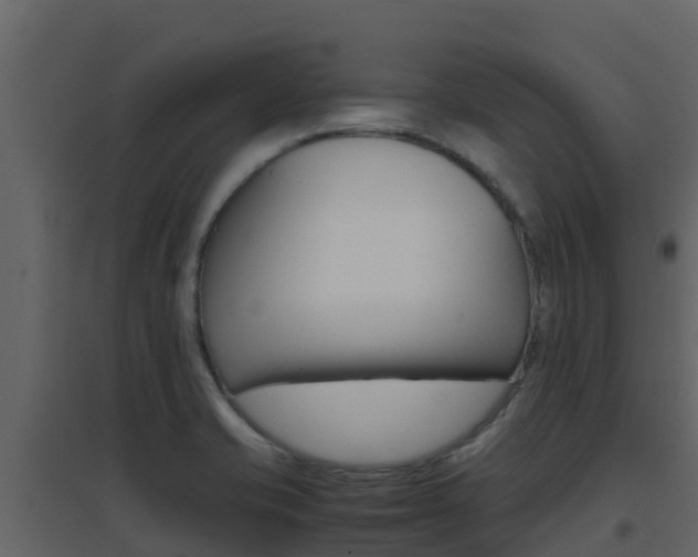 X0000096701421200802051050