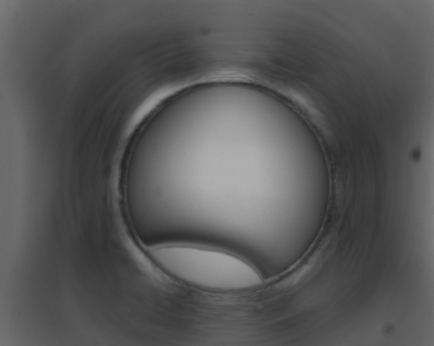 X0000096701422200802051050