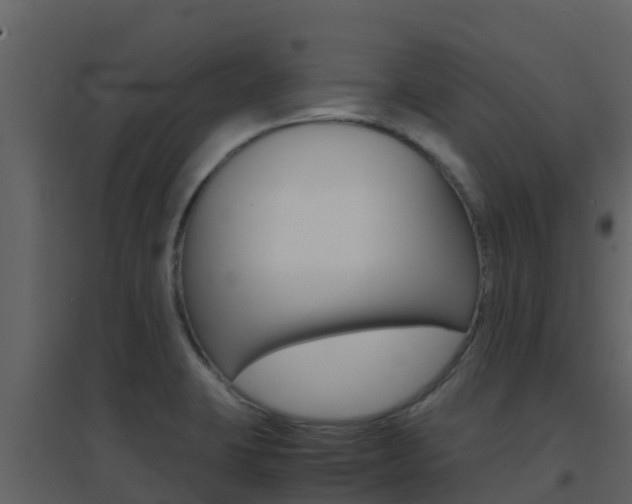 X0000096701423200802051050