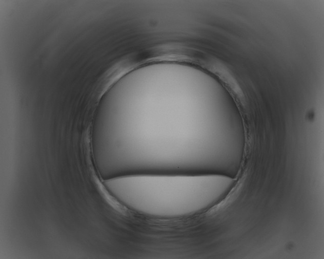 X0000096701425200802051050