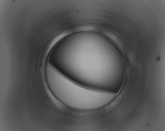 X0000096701426200802051050