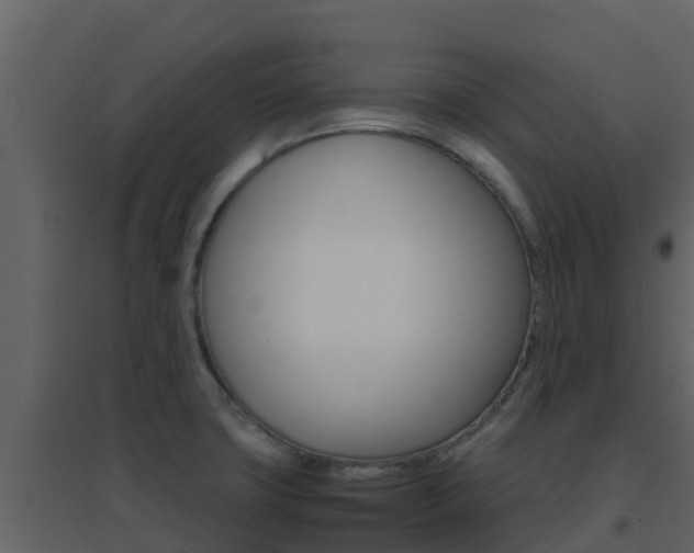X0000096701427200802051050