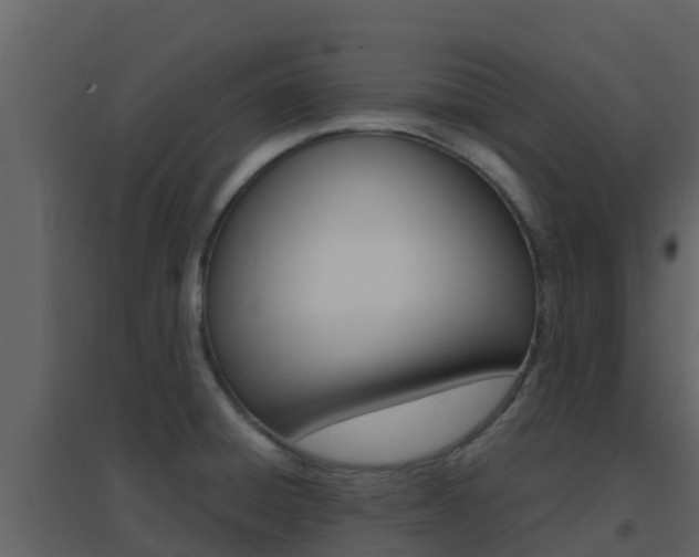 X0000096701428200802051050