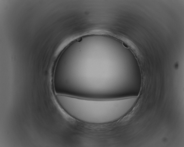 X0000096701430200802051050