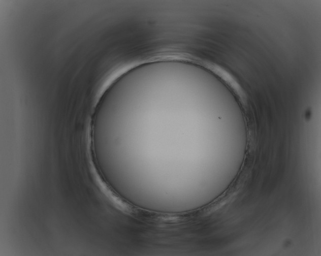 X0000096701431200802051050