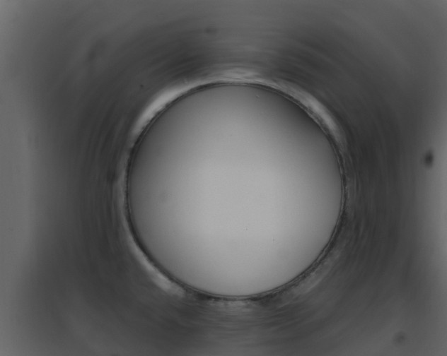 X0000096701432200802051050