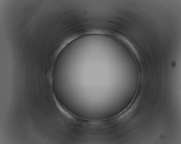 X0000096701433200802051050