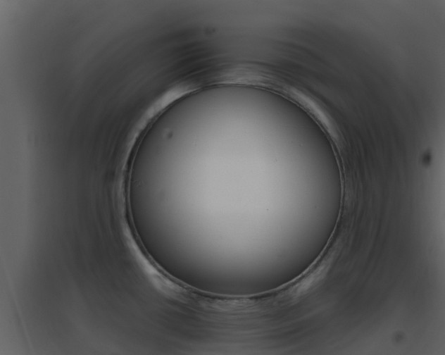 X0000096701434200802051050