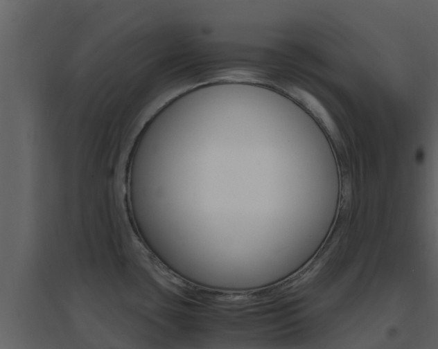 X0000096701435200802051050