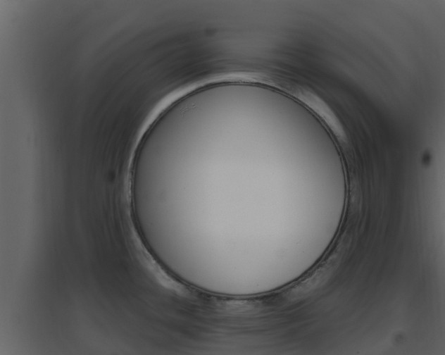 X0000096701436200802051051
