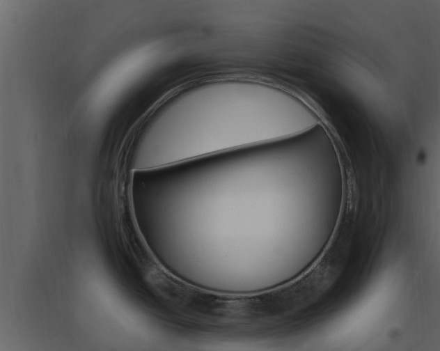 X0000096701438200802051051