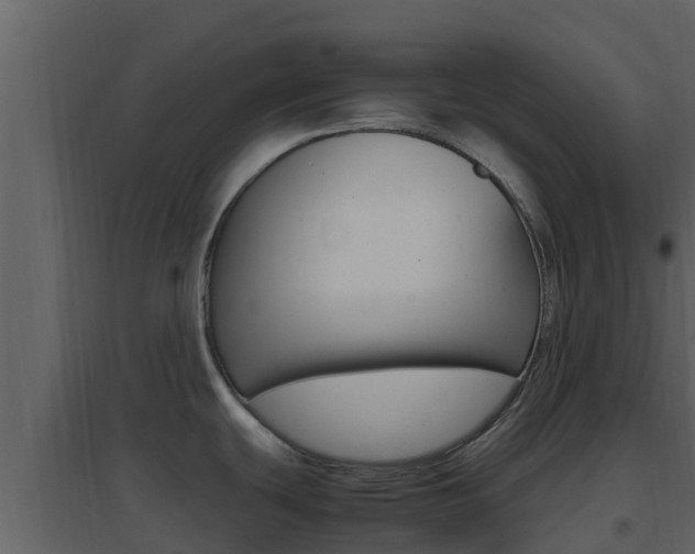 X0000096701439200802051051
