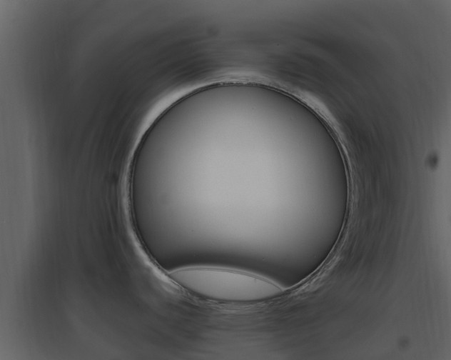 X0000096701440200802051051
