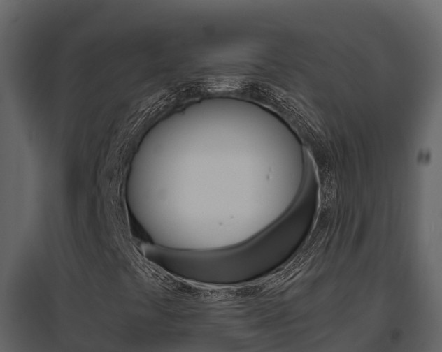 X0000096701441200802051050