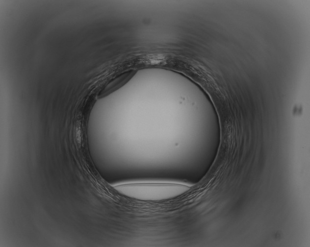X0000096701442200802051050