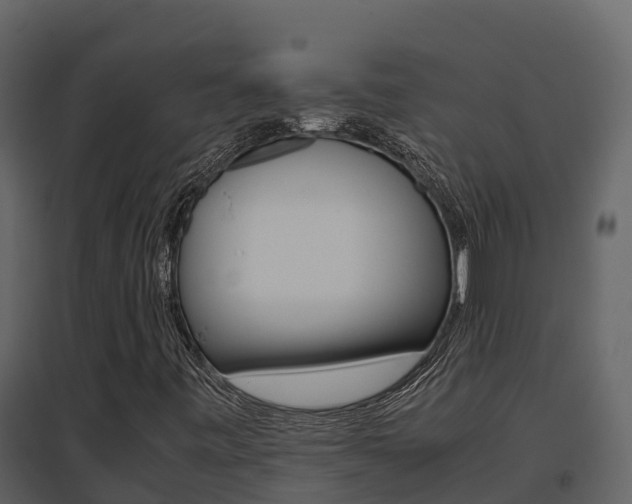 X0000096701443200802051050